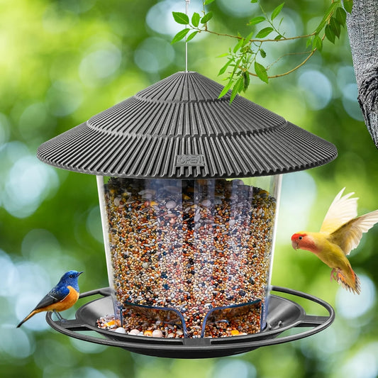 NUTRIFLOW – Automatic Bird Feeder, Weatherproof Multi-Hole Nut Dispenser