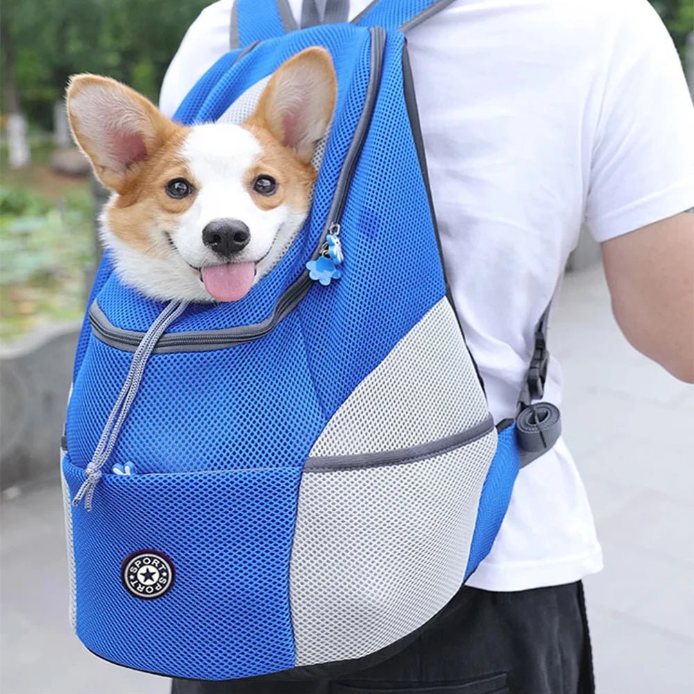 PAWCARRY – Pet Carrier Backpack with Adjustable Straps, Safety Hook & Ventilation