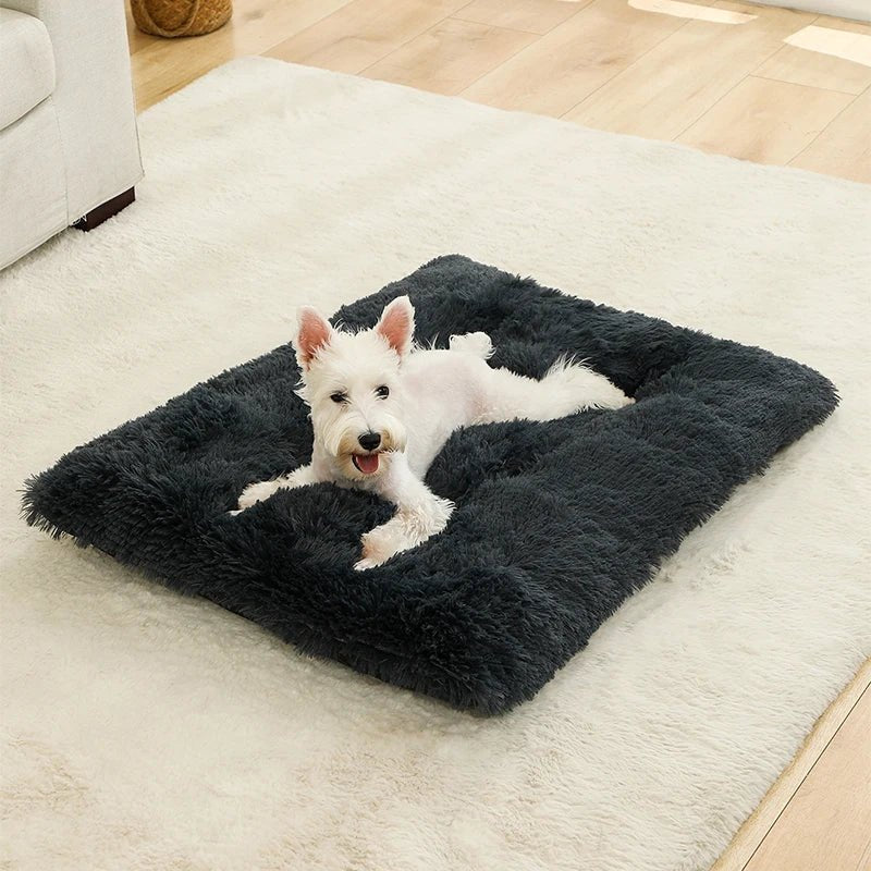 COZYPET – Plush Dog Bed & Cat Mat for Ultimate Comfort