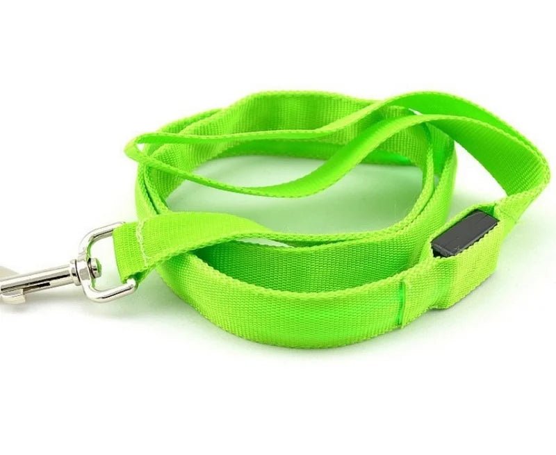 BARKBRIGHT – Rechargeable LED Leash with Comfortable Ergonomic Handle