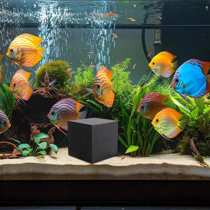 HYDROCUBE – Natural Water Purifier with Bio-Filtration for Livestock and Farms