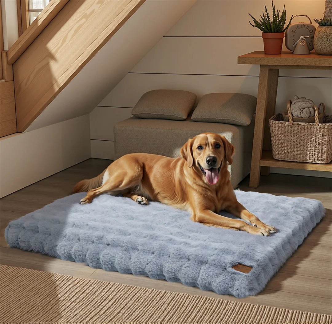 FURFORT – Premium Plush Bed with Water-Resistant Fabric and Grip Bottom