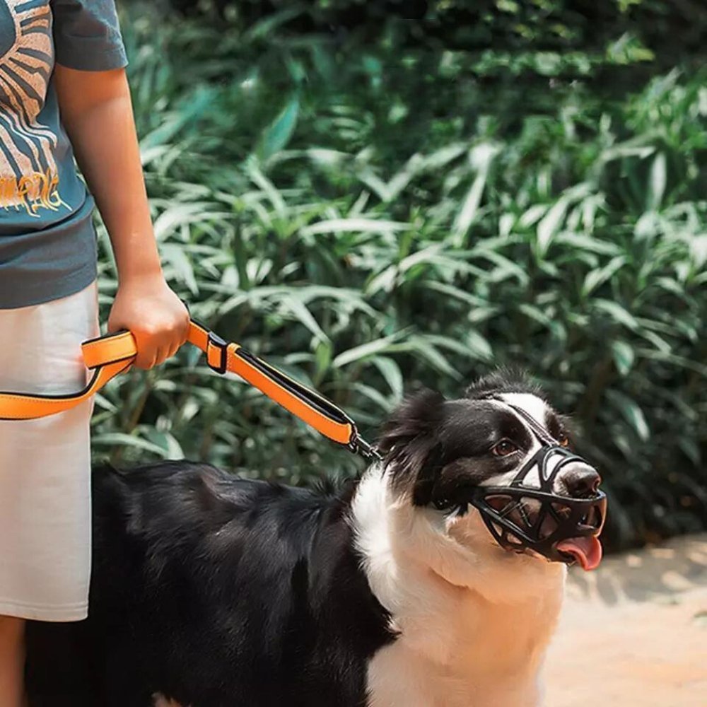 SafeBark - Comfortable Dog Muzzle for Anti-Bite and Anti-Bark Control 7