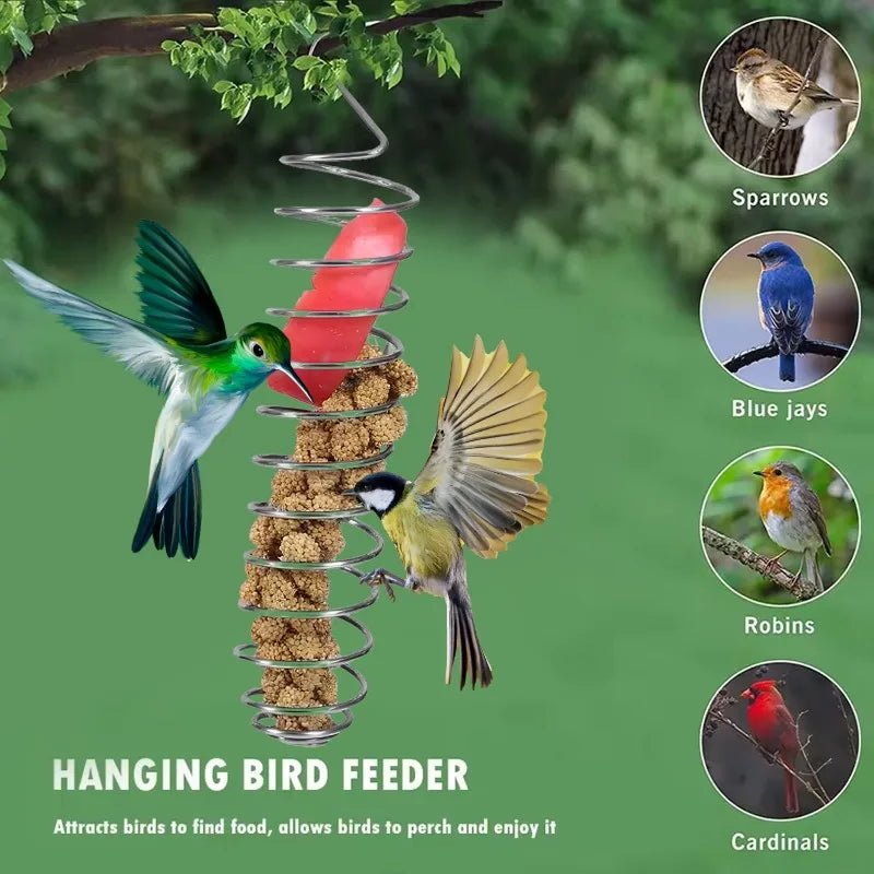 SPIRAFEED – Durable Stainless Steel Parrot Forager Feeder