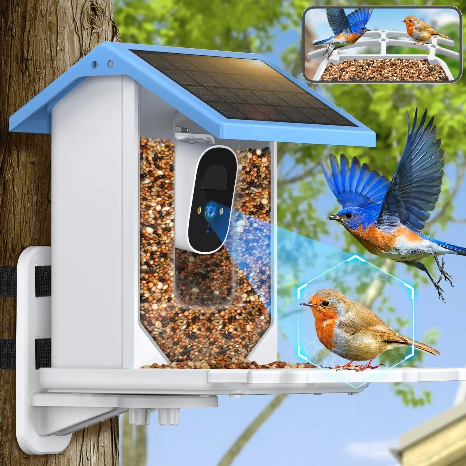 Smart Bird Feeder with Camera - 2.4K HD, Solar-Powered, Night Vision 0