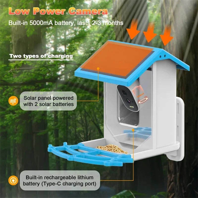 Smart Bird Feeder with Camera - 2.4K HD, Solar-Powered, Night Vision 4