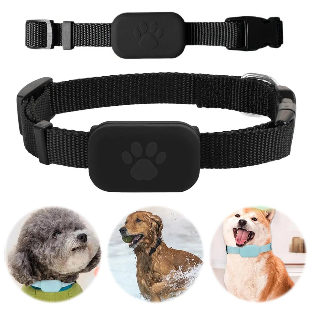 Smart Pet Tracker - Real-Time GPS Locator with Adjustable Collar for Dogs & Cats 3