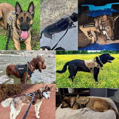 TacticalK9 - Adjustable dog harness for safe & comfortable training