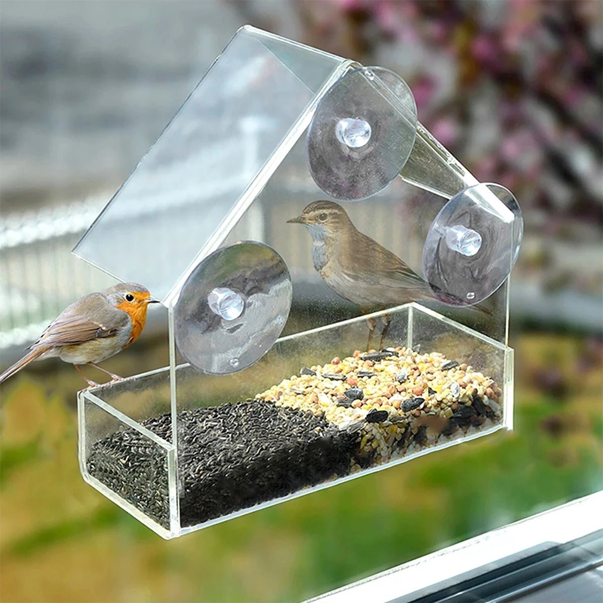 Transparent Window Bird Feeder with Suction Cups - Enjoy Close-Up Birdwatching 0