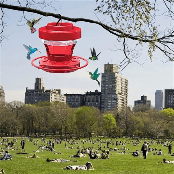 Vibrant Red Hummingbird Feeder - Bee-Proof Design with Ant Guard, 16oz Capacity 3