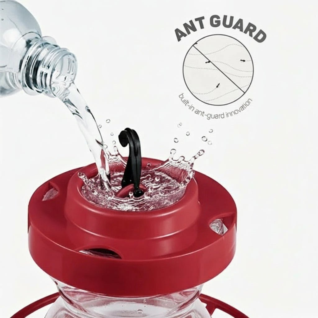 Vibrant Red Hummingbird Feeder - Bee-Proof Design with Ant Guard, 16oz Capacity 5