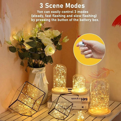 Warm White Fairy Lights - Battery Operated Party Lights for Home & Garden 1