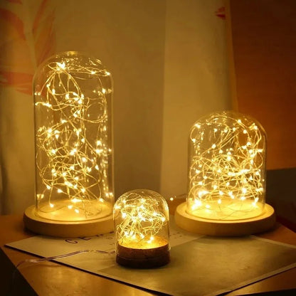 Warm White Fairy Lights - Battery Operated Party Lights for Home & Garden 2