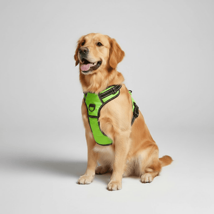 PAWCONTROL – Adjustable No-Pull Harness with Handle for All Dog Sizes